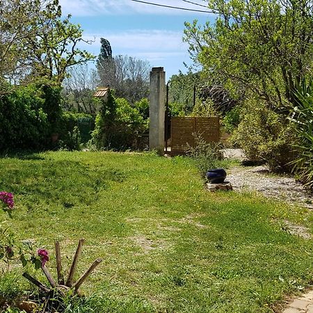 ארל Petite Maison Refaite A Neuf Dans Mas Du 19Eme Siecle מראה חיצוני תמונה