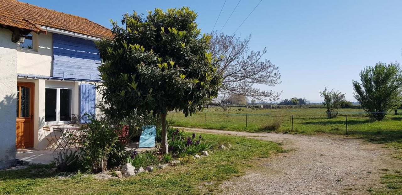 ארל Petite Maison Refaite A Neuf Dans Mas Du 19Eme Siecle מראה חיצוני תמונה